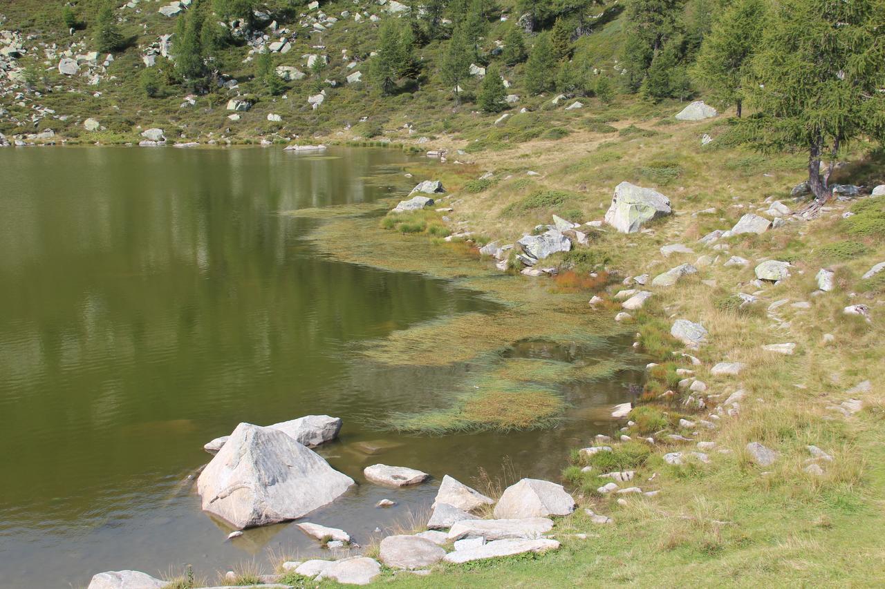 Hotel Rifugio Viviani Pradalago Madonna Exterior foto